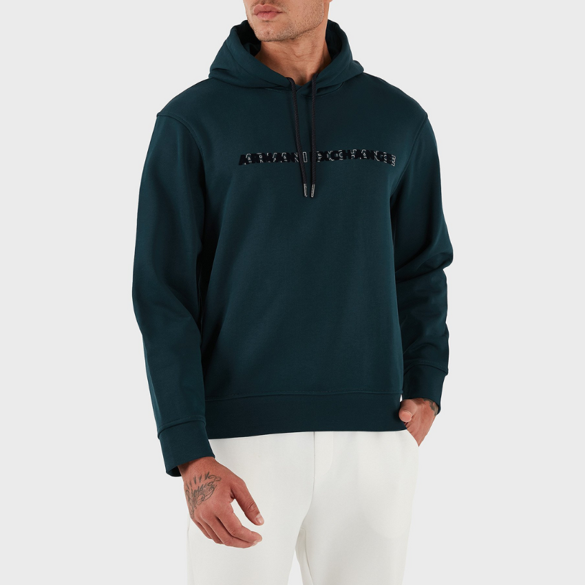 Armani Exchange men’s hoodie in Reflecting Pond with logo print