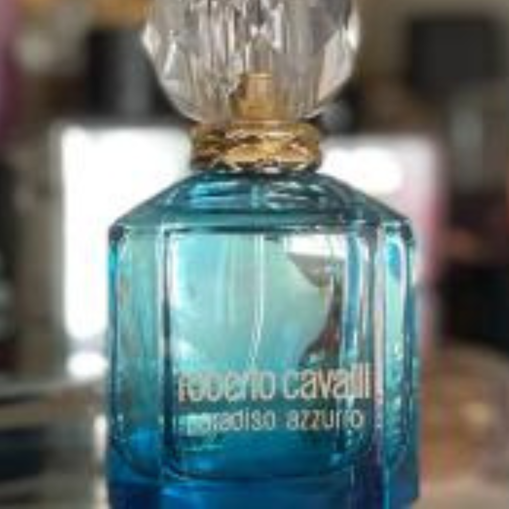 Cavalli azzurro outlet