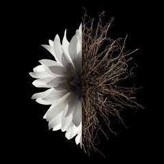 L'INTERDIT By Givenchy EAU DE PARFUM