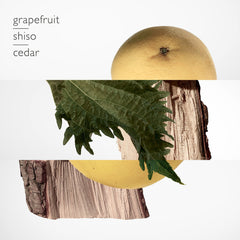 Hermes Terre D'hermes Pure Parfum Spray For Men 75ml