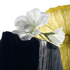 Y by YSL Eau de Toilette