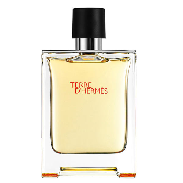 Terre D'Hermes by Hermes 100ml EDT Hermes