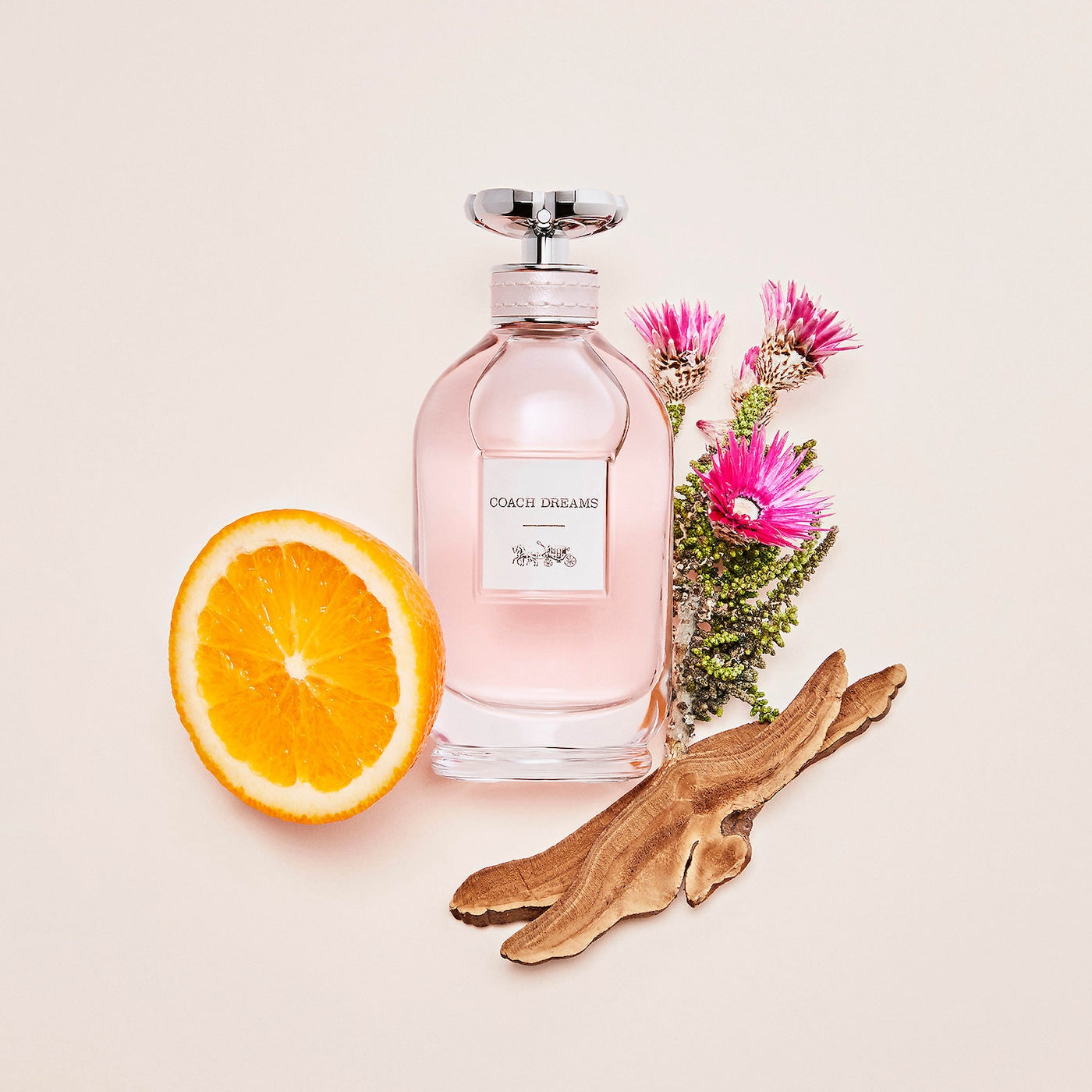 Coach Dreams Eau de Parfum